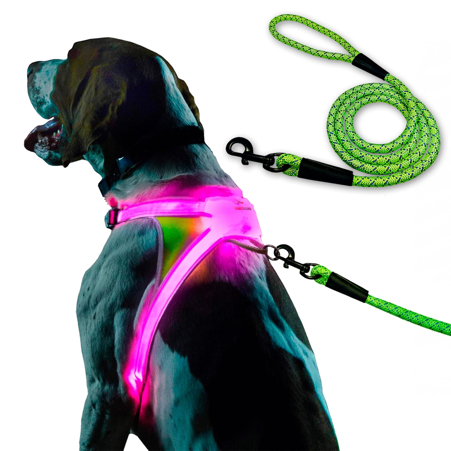 Rechargeable LED Reflective Dog Harness with Multicolor Lights