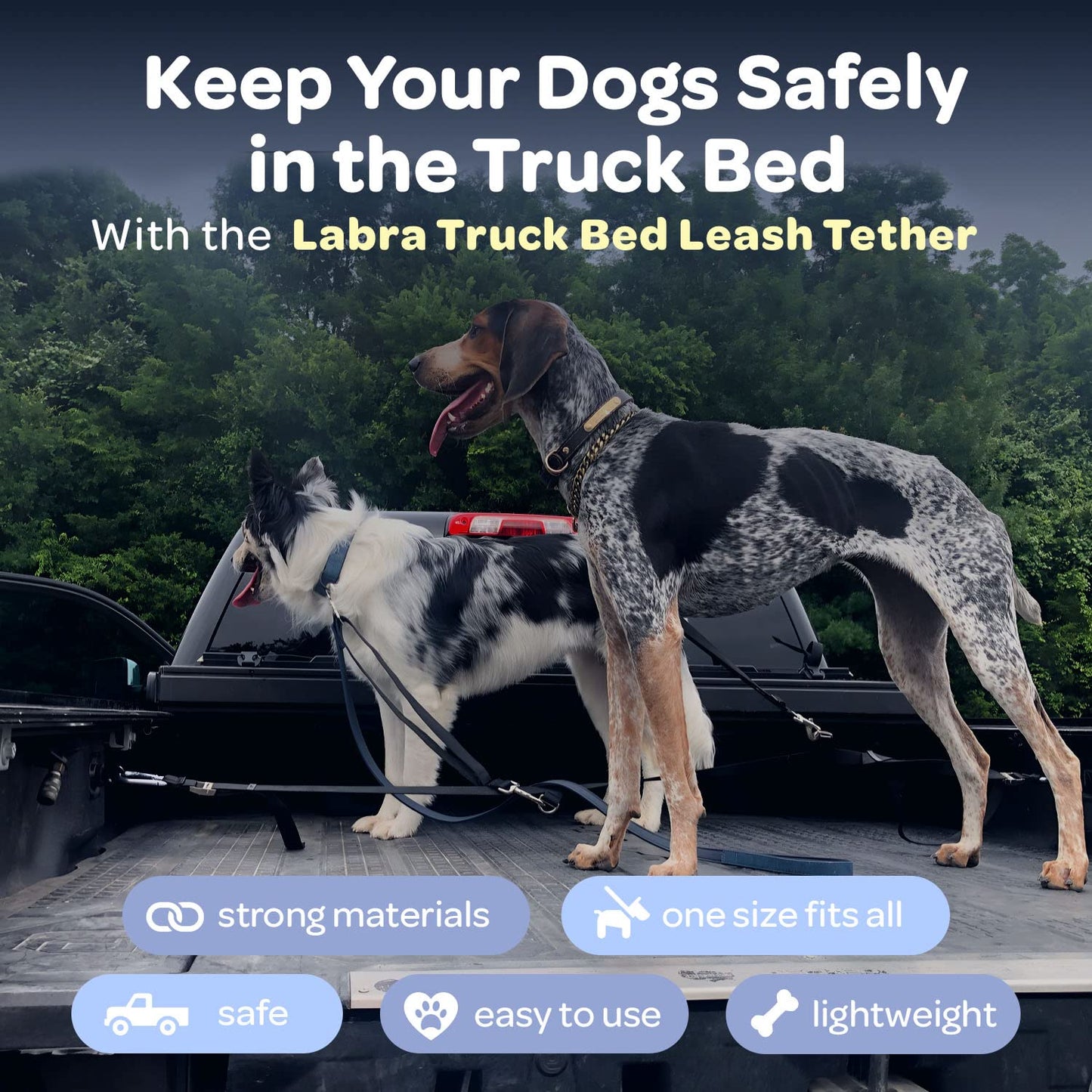 Dog Truck Bed Leash Tether & Vehicle Restraint System