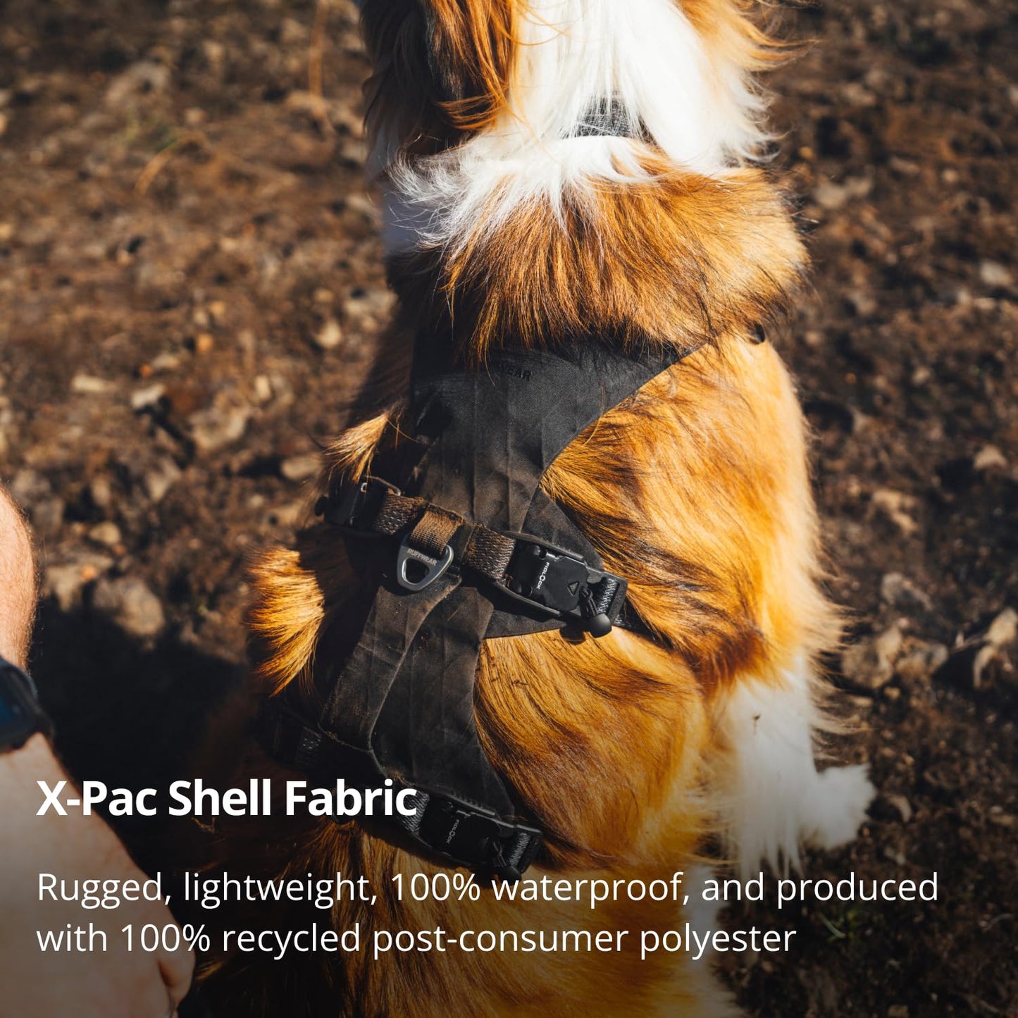 Ruffwear, Ridgeline Dog Harness