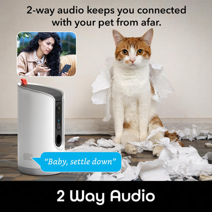 Geeni Pet Treat Dispenser with Camera for Automatic Cat and Dog Feeding