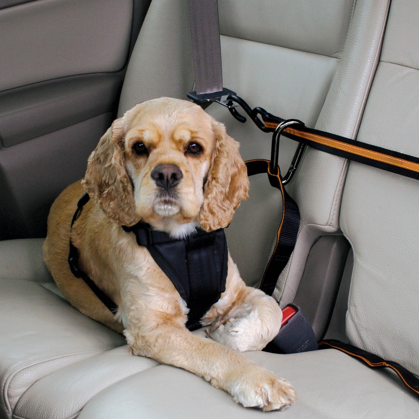 Kurgo Auto Zip Line, Backseat Zipline Harness Tether for Car Travel