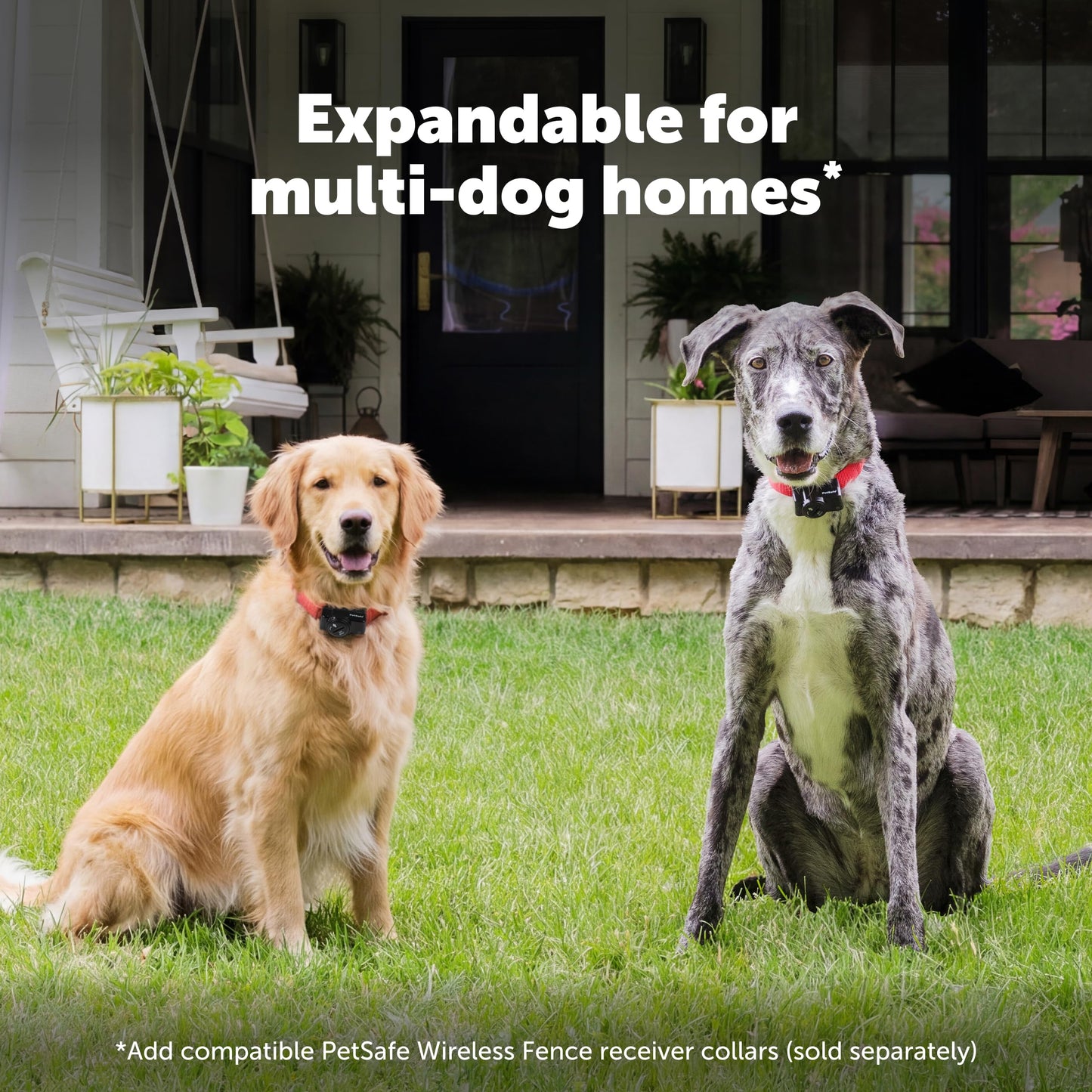 PetSafe Dog Wireless Fence System