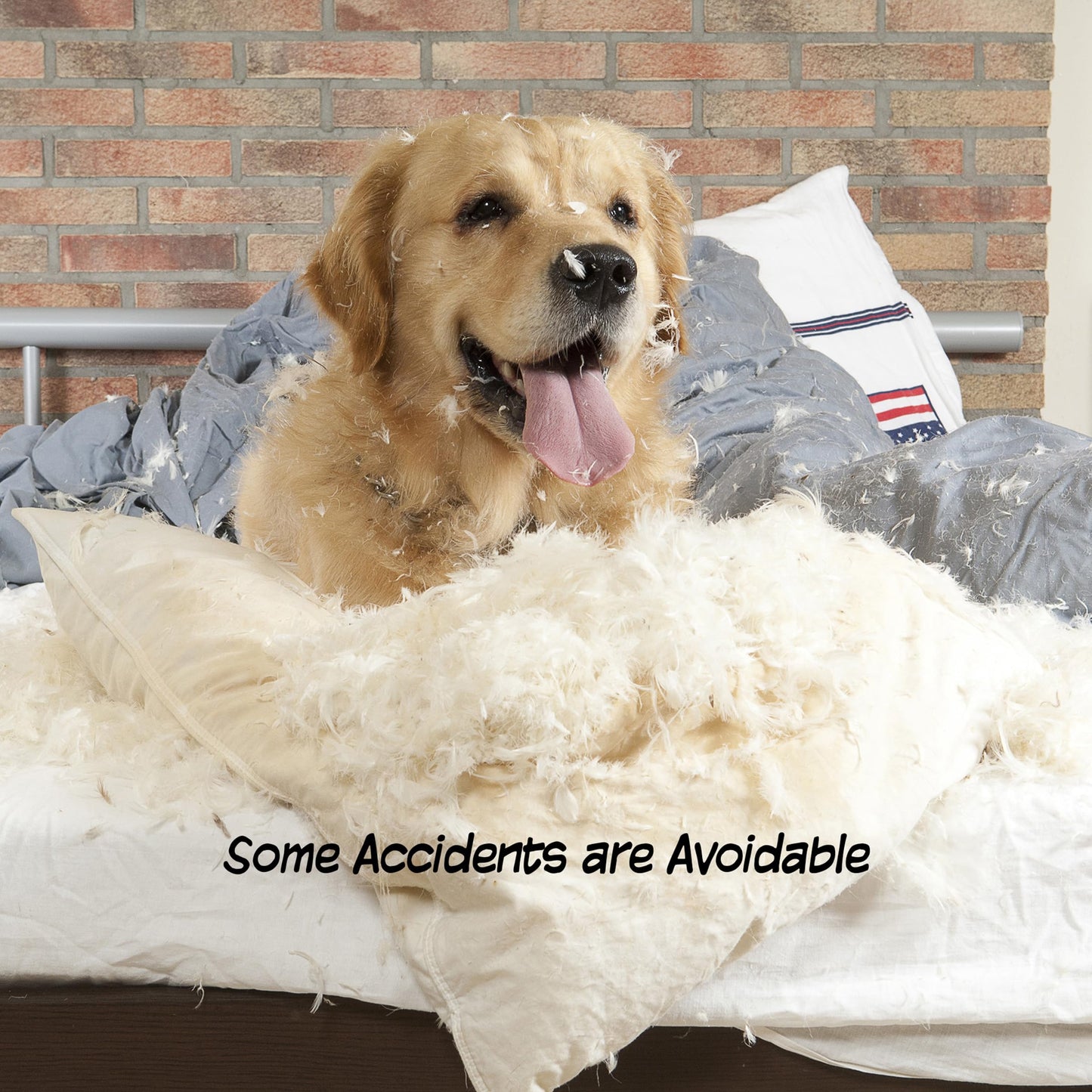 Foldable Wooden Pet Gate for Doorways, Hallways & Stairs