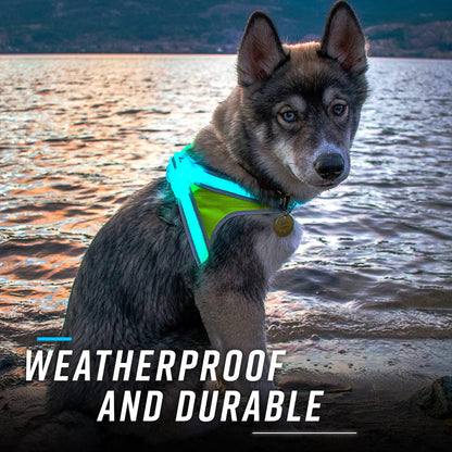 Rechargeable LED Reflective Dog Harness with Multicolor Lights